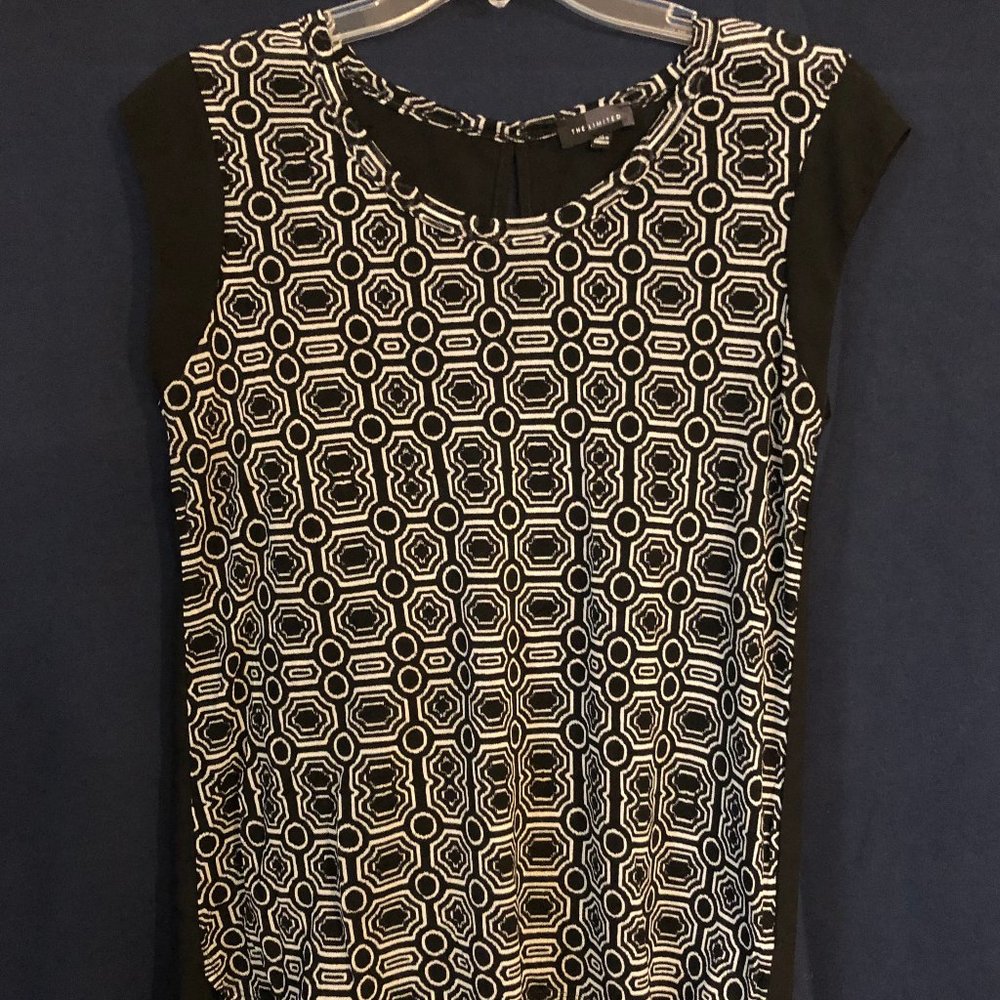 The Limited Black and White Block Blouse